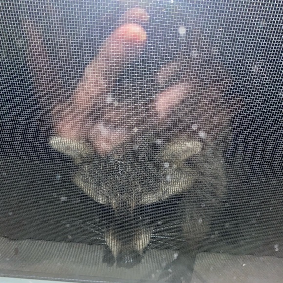 Meet your Posher, Luisa - Picture 13 of 13